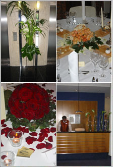 Blumen Kitzinger in Offenbach