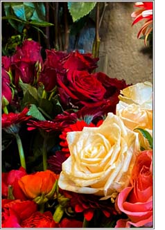 Blumen Kitzinger in Offenbach