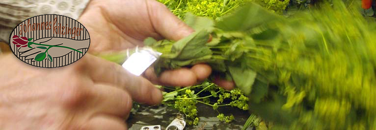 Blumen Kitzinger in Offenbach