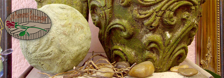 Blumen Kitzinger in Offenbach